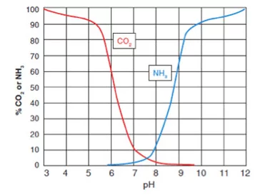 CO 2和pH相關(guān)，影響NH 3的毒性